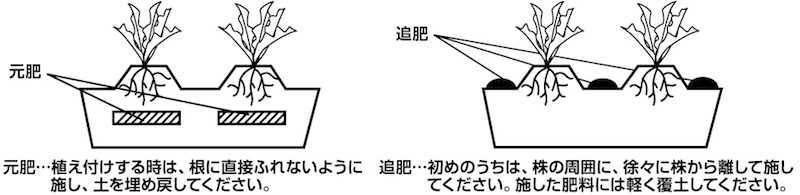使い方