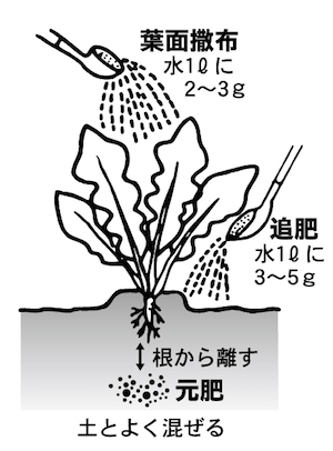 使い方