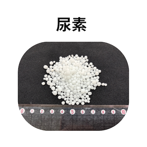 中身