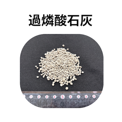 中身